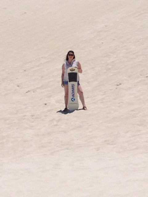 Pinnacles Desert, Koalas And Sandboarding 4WD Day Tour From Perth - Darwin Holiday 21