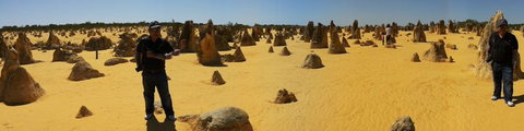 Pinnacles Desert, Koalas And Sandboarding 4WD Day Tour From Perth - Darwin Holiday 11