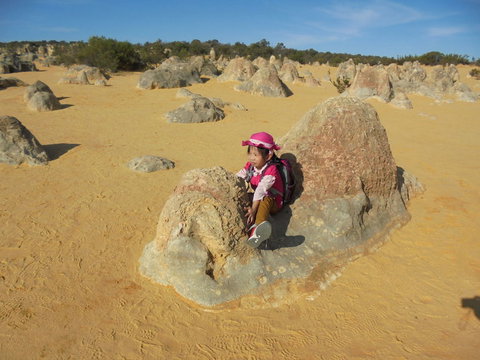 Pinnacles Desert, Koalas And Sandboarding 4WD Day Tour From Perth - Darwin Holiday 7