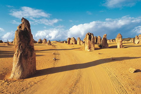 Pinnacles Desert, Koalas And Sandboarding 4WD Day Tour From Perth - Darwin Holiday 0