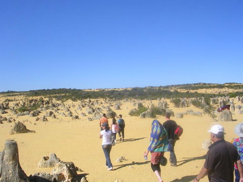 Pinnacles Desert, Koalas And Sandboarding 4WD Day Tour From Perth - Darwin Holiday 25