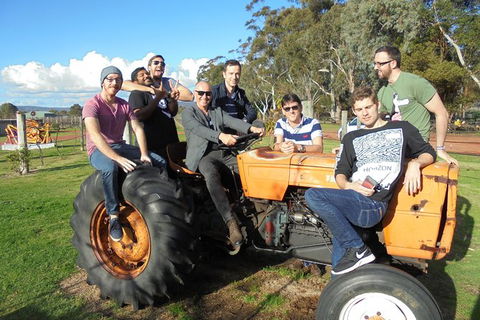 1/2 Day Swan Valley Wine Cheese & Chocolate Tour Inc Afternoon Cruise To Perth - Darwin Holiday 8