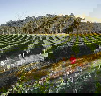 Margaret River Caves Wine and Cape Leeuwin Lighthouse Tour from Perth - Darwin Holiday