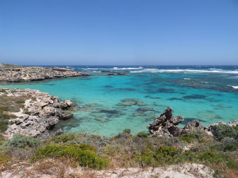 Rottnest Island Tour From Perth Or Fremantle Including Adventure Speed Boat Ride - Darwin Holiday 3