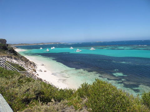 Rottnest Island Tour From Perth Or Fremantle Including Adventure Speed Boat Ride - Darwin Holiday 2