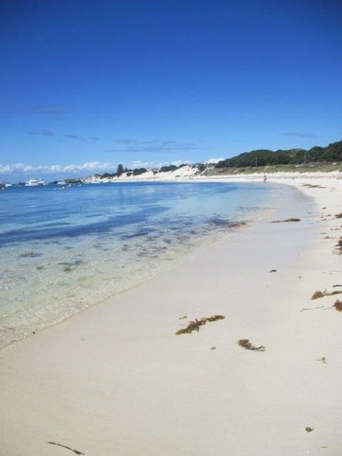 Rottnest Island Tour From Perth Or Fremantle Including Adventure Speed Boat Ride - Darwin Holiday 4