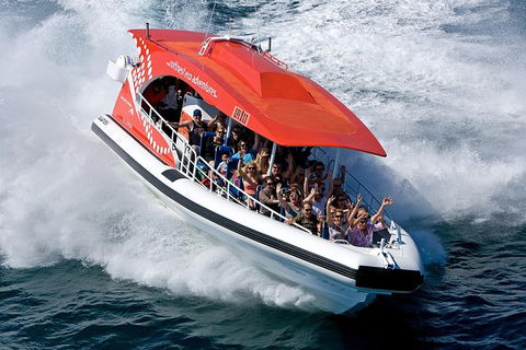Rottnest Island Tour From Perth Or Fremantle Including Adventure Speed Boat Ride - Darwin Holiday 11