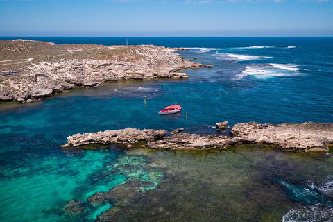 Rottnest Island Tour From Perth Or Fremantle Including Adventure Speed Boat Ride - Darwin Holiday 13