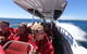 Rottnest Island Tour From Perth Or Fremantle Including Adventure Speed Boat Ride - thumb 8