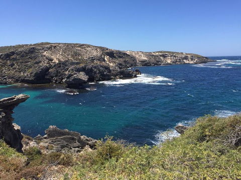 Rottnest Island Tour From Perth Or Fremantle Including Bus Tour - Darwin Holiday 3