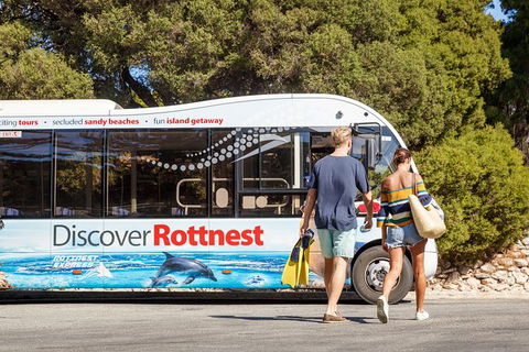 Rottnest Island Tour From Perth Or Fremantle Including Bus Tour - Darwin Holiday 0