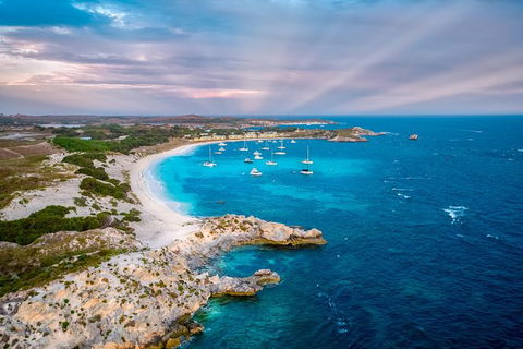 Rottnest Island Tour From Perth Or Fremantle Including Bus Tour - Darwin Holiday 8