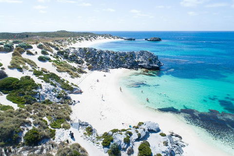 Rottnest Island Tour From Perth Or Fremantle Including Bus Tour - Darwin Holiday 7