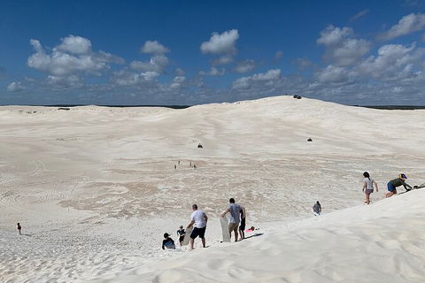 Pinnacles Day Trip From Perth Including Yanchep National Park - Darwin Holiday 3