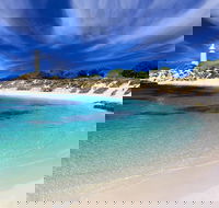 Rottnest Island Grand Tour Including Lunch and Historical Train Ride - Darwin Holiday