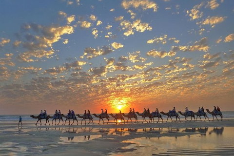 1 Hour Broome Sunset Camel Tour - Darwin Holiday 0