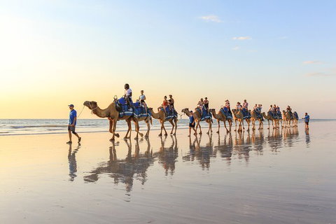 1 Hour Broome Sunset Camel Tour - Darwin Holiday 7