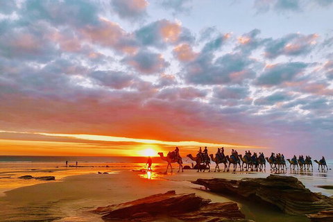 1 Hour Broome Sunset Camel Tour - Darwin Holiday 10