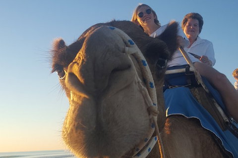 1 Hour Broome Sunset Camel Tour - Darwin Holiday 2