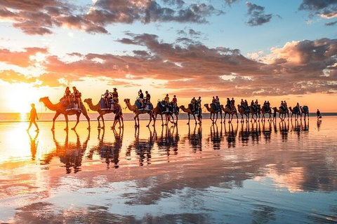 1 Hour Broome Sunset Camel Tour - Darwin Holiday 9