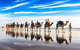 1 Hour Broome Sunset Camel Tour - thumb 6