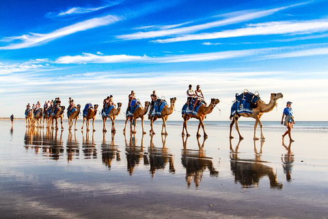 1 Hour Broome Sunset Camel Tour - Darwin Holiday 6