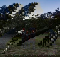 Stargazing Busselton with Mobile Observatory - Darwin Holiday