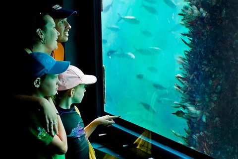 2-hour Busselton Jetty Package: Jetty Train And Underwater Observatory - Darwin Holiday 1