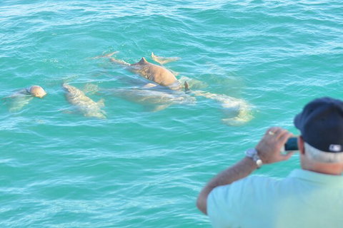 Snubfin Dolphin Eco Cruise From Broome - Darwin Holiday 3