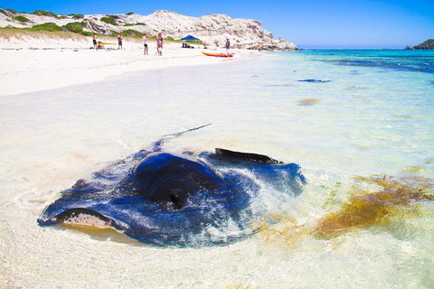 Private Custom Margaret River Tour - Darwin Holiday 0