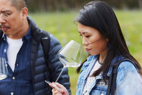 Private Custom Margaret River Tour - Darwin Holiday 11