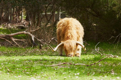 Private Custom Margaret River Tour - Darwin Holiday 21