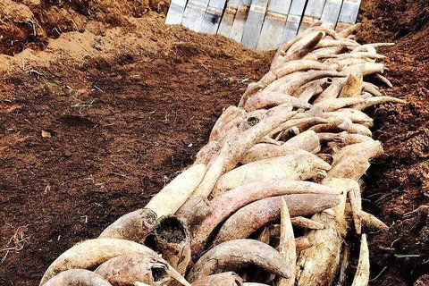 Private Custom Margaret River Tour - Darwin Holiday 12