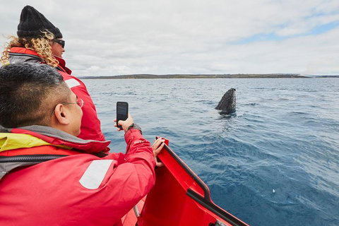 Private Custom Margaret River Tour - Darwin Holiday 16