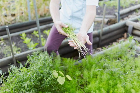 Private Custom Margaret River Tour - Darwin Holiday 22