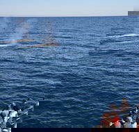 Blue Whale Perth Canyon Expedition - Darwin Holiday