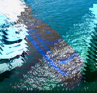 Rottnest Island Roundtrip Ferry from Perth with Transfer - Darwin Holiday