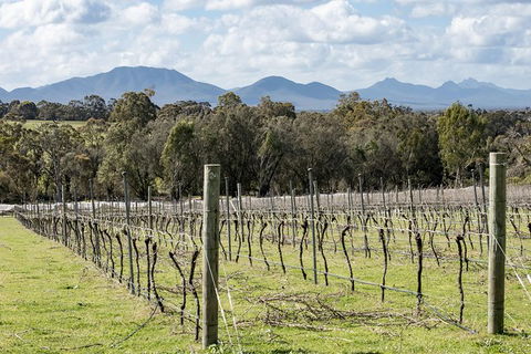 Mt Barker Grape Escape - Darwin Holiday 1