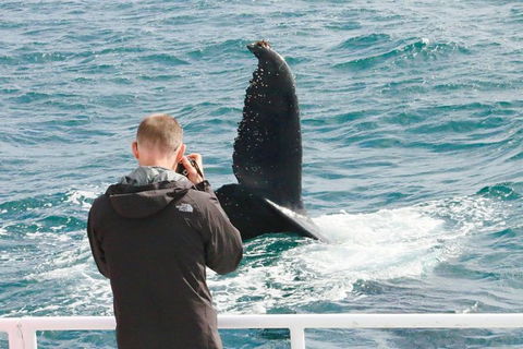 Dunsborough Whale Watching Eco Tour - Darwin Holiday 9