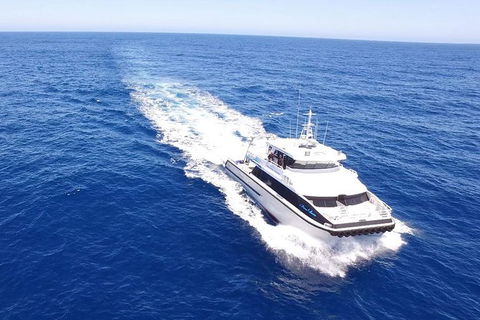 Dunsborough Whale Watching Eco Tour - Darwin Holiday 8