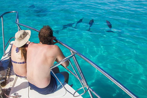 Turtle Eco Adventure Tour In Exmouth - Darwin Holiday 1