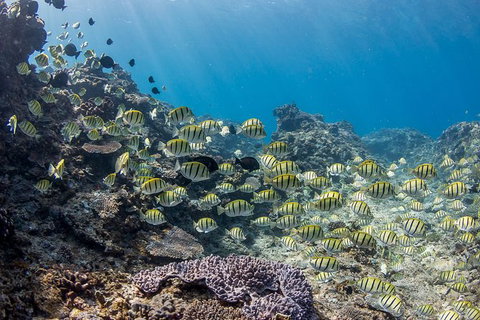 Turtle Eco Adventure Tour In Exmouth - Darwin Holiday 4