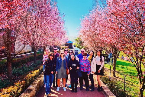 Small-Group Bickley Valley Wine Tour - Darwin Holiday 10