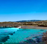 Rottnest Island Roundtrip Fast Ferry from Hillarys Boat Harbour - Darwin Holiday