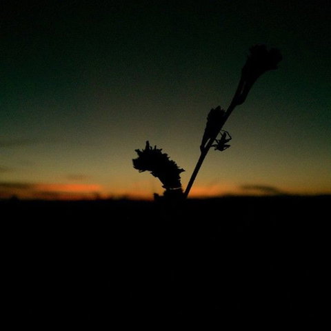 Windjana Gorge And Tunnel Creek 4WD Tour From Broome - Darwin Holiday 7