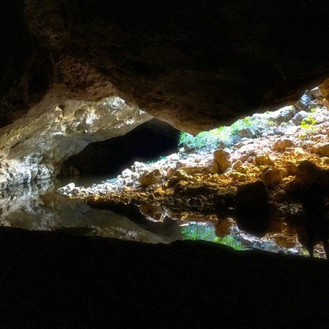 Windjana Gorge And Tunnel Creek 4WD Tour From Broome - Darwin Holiday 8