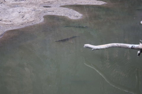 Windjana Gorge And Tunnel Creek 4WD Tour From Broome - Darwin Holiday 3