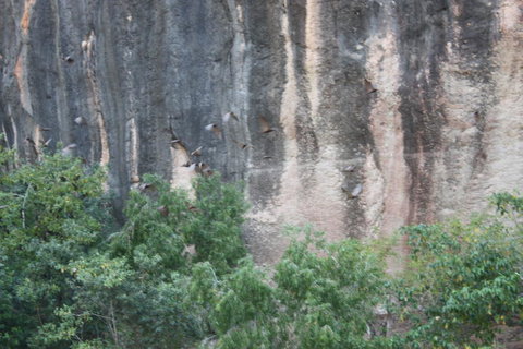 Windjana Gorge And Tunnel Creek 4WD Tour From Broome - Darwin Holiday 2