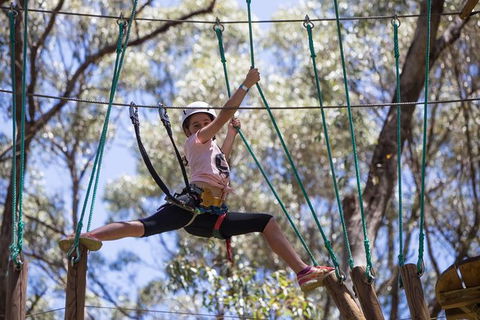 Busselton High Ropes And Zipline Adventure - Darwin Holiday 1
