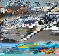 6-Metre Boat Renat Explore Exmouth's Ningaloo Reef - Darwin Holiday